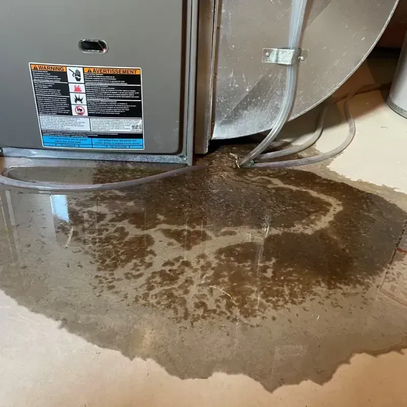 Appliance Leak Cleanup in Leon County, FL